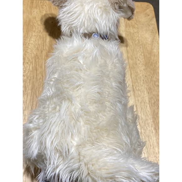 Disney Live Action Cruella Buddy dog Plush Disney Store - Picture 5 of 8